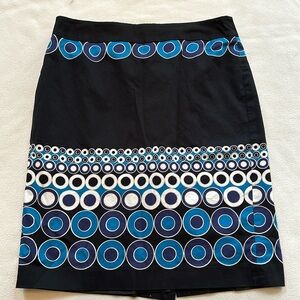 Ann Taylor Skirt 8